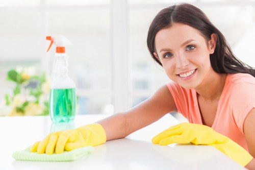 Professional oven cleaning service for an Earlscourt kitchen
