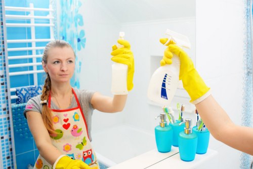 Regular cleaning service for an Earlscourt home interior
