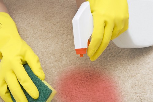 Professional carpet cleaning in an Earlscourt home living room