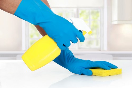 Scheduled cleaning support for homes and businesses in Earlscourt