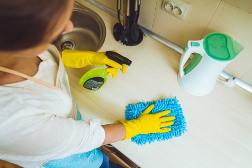 Local cleaner maintaining a tidy Earlscourt living space