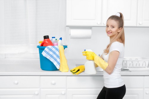 Local cleaner working in an Earlscourt apartment building