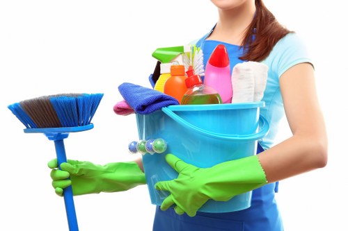 Kitchen deep cleaning during a move-out service in Earlscourt