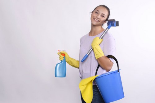 Regular domestic cleaning service in Earlscourt