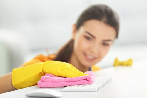 Deep cleaning checklist and local service planning for Earlscourt