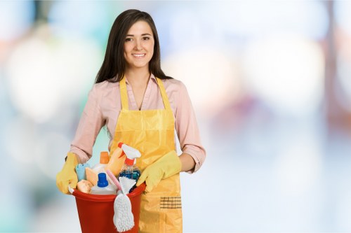 Deep cleaning tasks included in a one-time Earlscourt clean