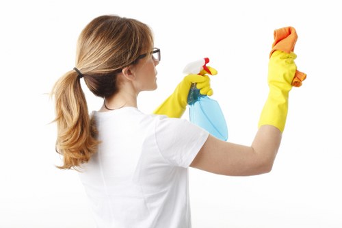 Freshened living space after pet stain odour removal in Earlscourt