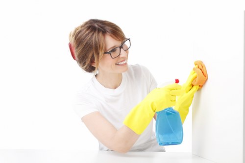 Thorough cleaning service in Earlscourt supporting homes and business properties