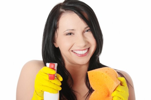 Deep cleaning a pet stain in a local Earlscourt property